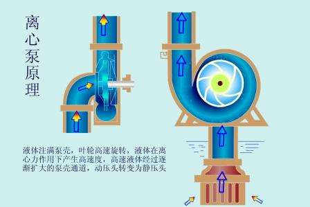 离心与离心泵，工作原理及应用解析