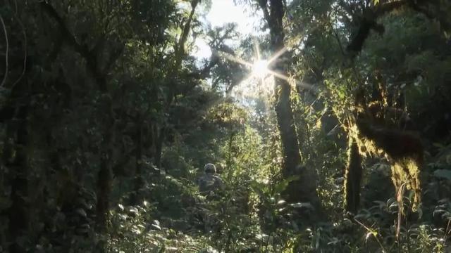 哀牢山部队穿越现场直击