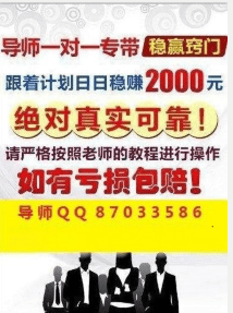 2024年天天彩资料免费大全,灵活设计解析方案_zShop33.60.86