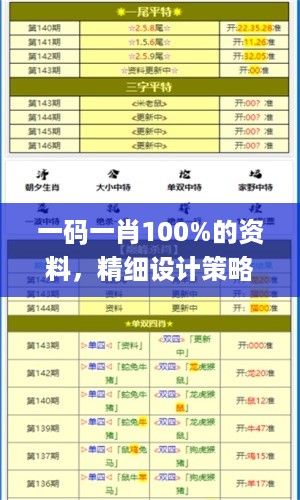 一码一肖100%的资料，精细设计策略_WP77.35.63