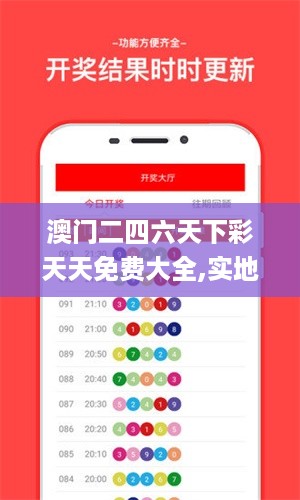 澳门二四六天下彩天天免费大全,实地验证数据计划_FHD94.446