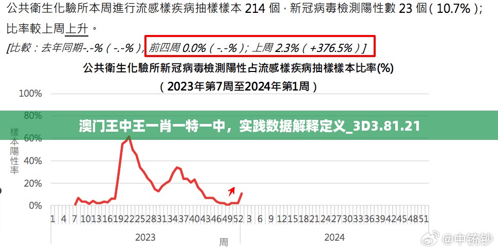 澳门王中王一肖一特一中，实践数据解释定义_3D3.81.21