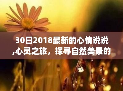 心灵之旅，探寻自然美景的30日心情之旅记录