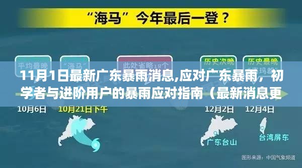 广东暴雨应对指南，最新消息与应对技巧（截至11月1日更新）