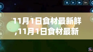 11月1日食材全面评测与深度介绍，新鲜至上，品质生活从此开始