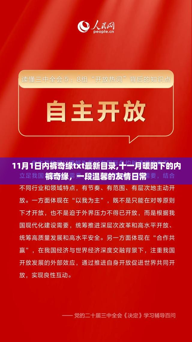 十一月暖阳下的内裤奇缘，温馨友情日常