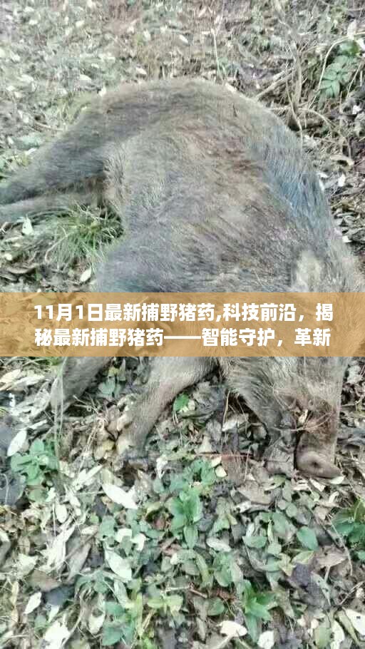 揭秘最新捕野猪药，智能守护革新狩猎体验，科技前沿引领狩猎新时代