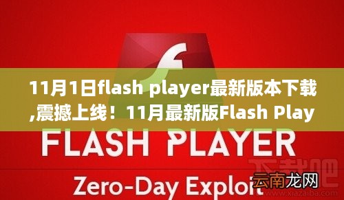 11月最新版Flash Player震撼上线，科技革新，体验极速飞跃