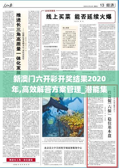 新澳门六开彩开奖结果2020年,高效解答方案管理_潜能集53.829