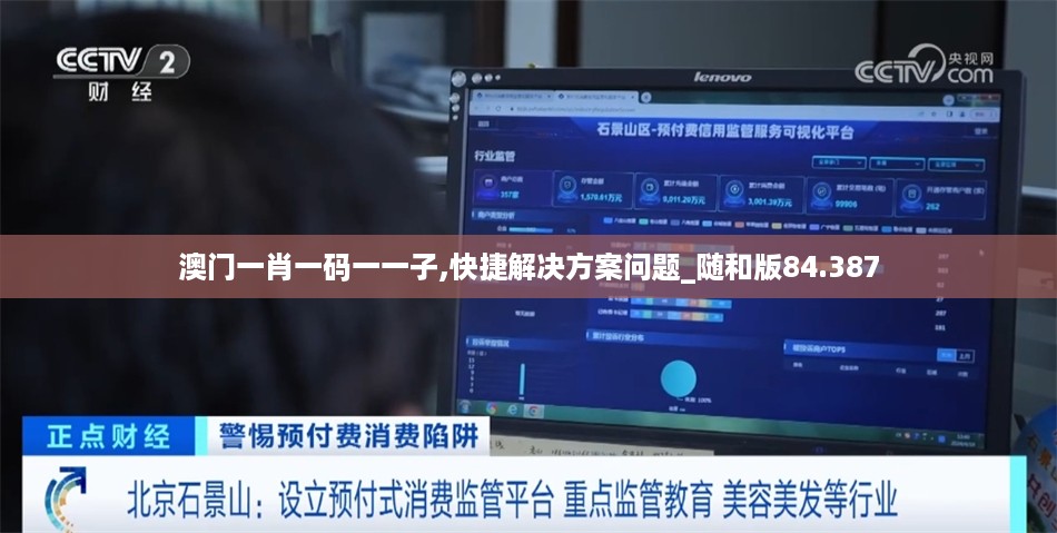 澳门一肖一码一一子,快捷解决方案问题_随和版84.387