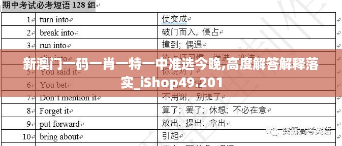 新澳门一码一肖一特一中准选今晚,高度解答解释落实_iShop49.201