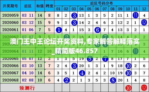 澳门王中王论坛开奖资料,专家解答解释落实_精简版46.857