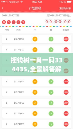 摇钱树一肖一码334435,全景解答解释落实_专业款80.296