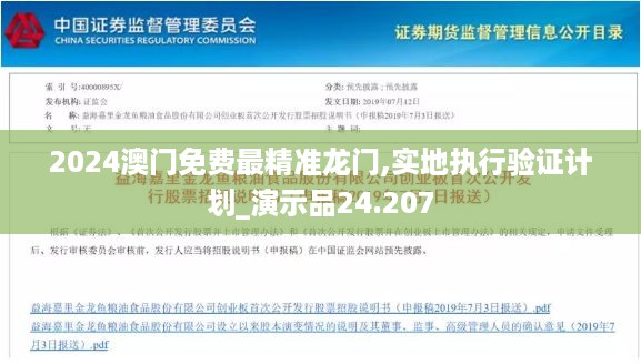 2024澳门免费最精准龙门,实地执行验证计划_演示品24.207