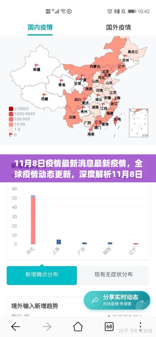 全球疫情动态更新，深度解析最新疫情资讯与应对体验（11月8日最新消息）