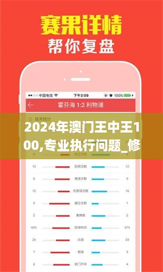 2024年澳门王中王100,专业执行问题_修改版USA249.46