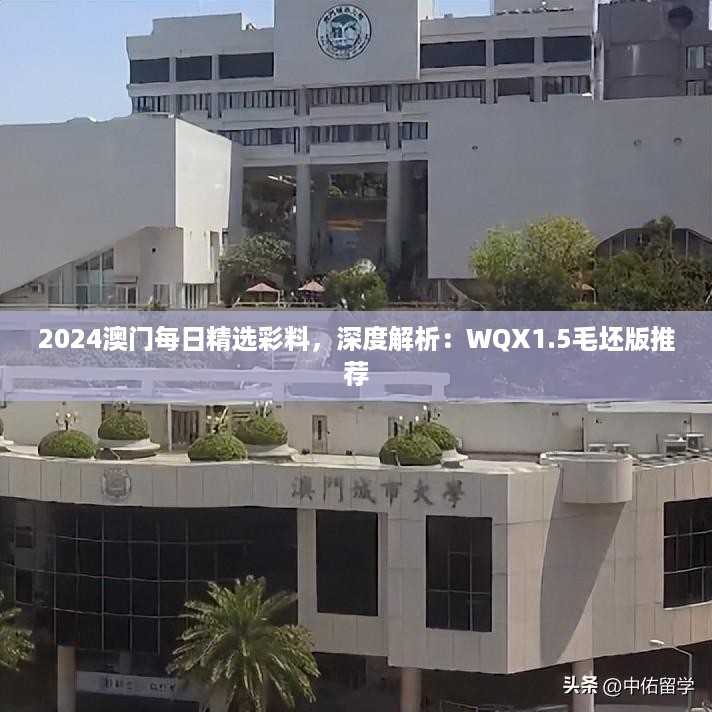 2024澳门每日精选彩料，深度解析：WQX1.5毛坯版推荐