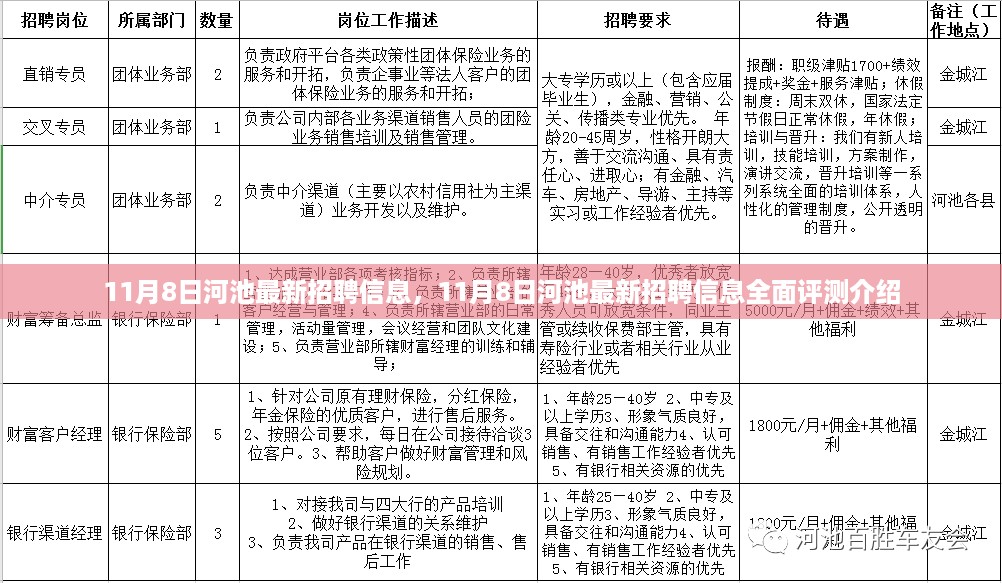 11月8日河池最新招聘信息全面解析与评测