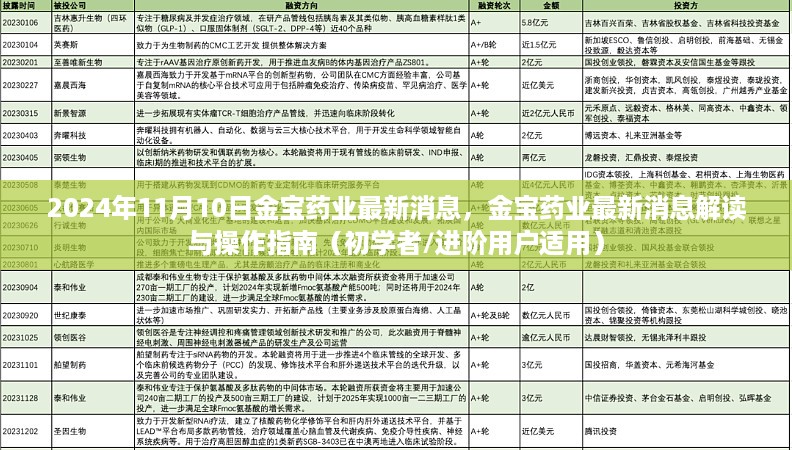 金宝药业最新消息解读与操作指南，初学者与进阶用户必备（2024年11月）