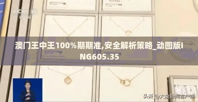 澳门王中王100%期期准,安全解析策略_动图版ING605.35