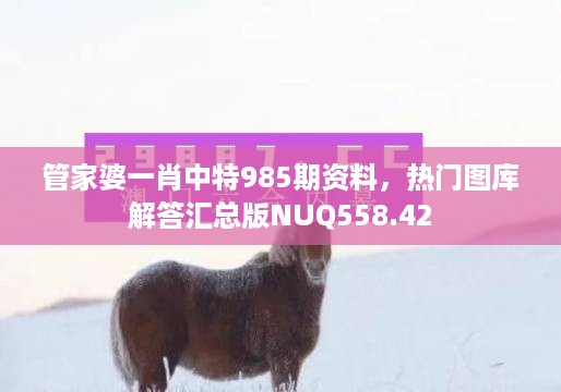 管家婆一肖中特985期资料，热门图库解答汇总版NUQ558.42