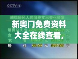 新奥门免费资料大全在线查看,专业执行问题_终身版NHC328.47