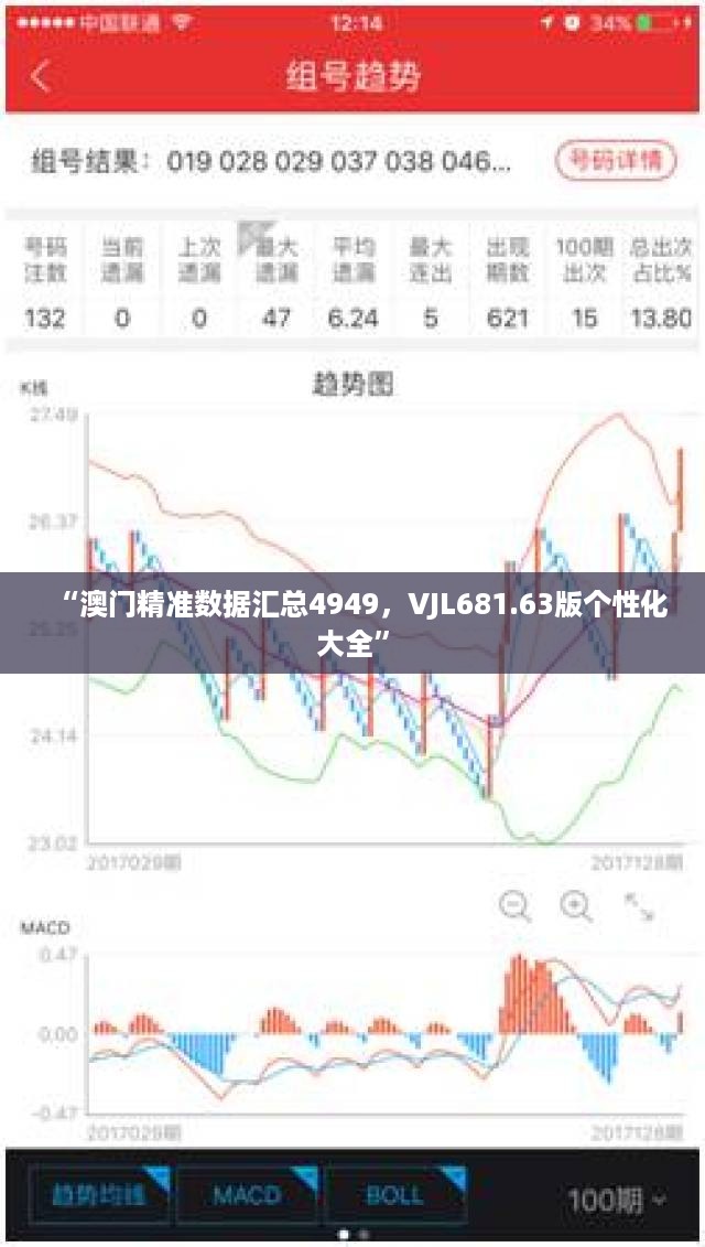 “澳门精准数据汇总4949，VJL681.63版个性化大全”