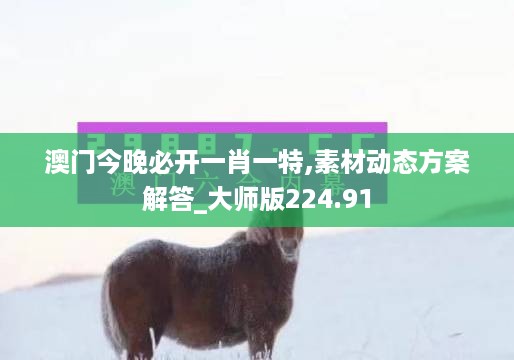 澳门今晚必开一肖一特,素材动态方案解答_大师版224.91