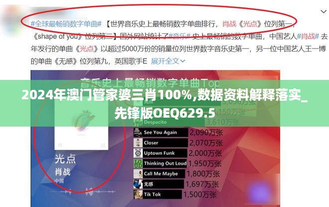 2024年澳门管家婆三肖100%,数据资料解释落实_先锋版OEQ629.5