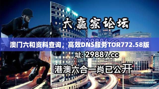 澳门六和资料查询，高效DNS服务TOR772.58版