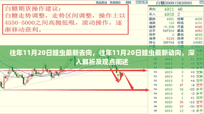 往年11月20日蝗虫最新动态与解析，去向、动向及观点阐述