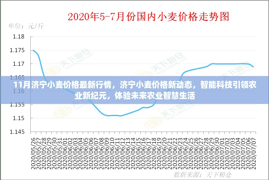 智能科技引领下的济宁小麦市场新行情，体验未来农业智慧生活新动态