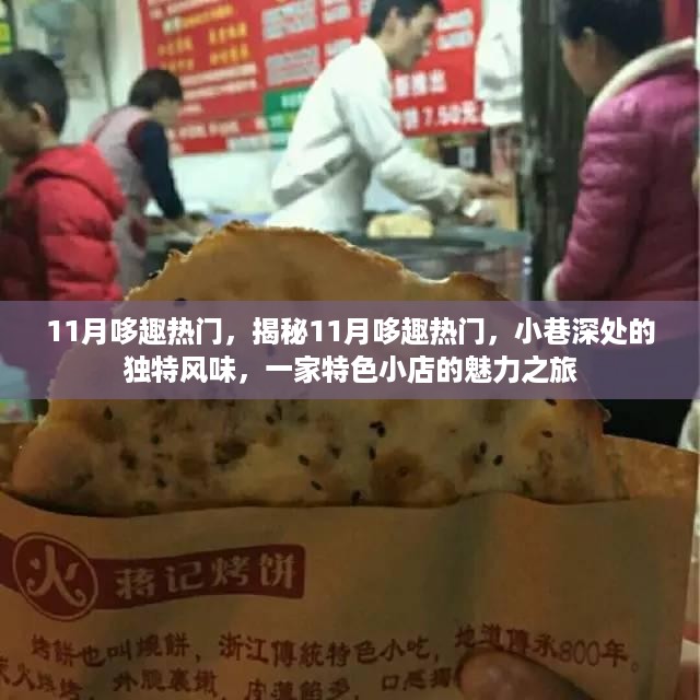 11月哆趣热门，揭秘11月哆趣热门，小巷深处的独特风味，一家特色小店的魅力之旅