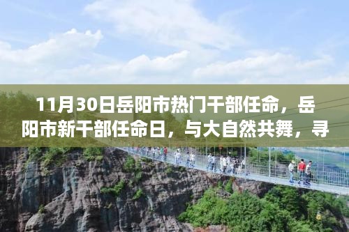 岳阳市新任干部任命日，与自然共舞，探寻内心宁静之旅