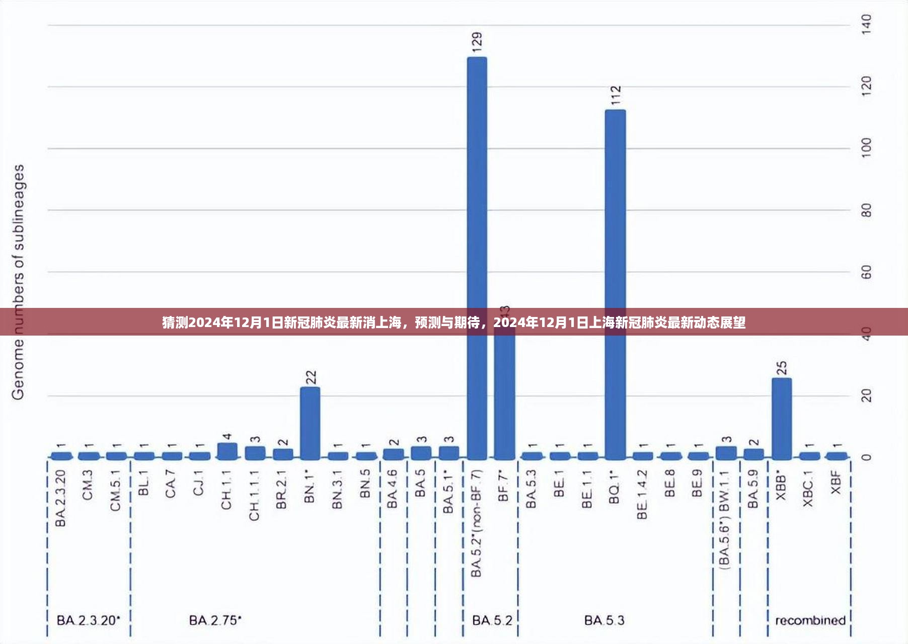 2024年12月1日上海新冠肺炎最新动态预测与展望