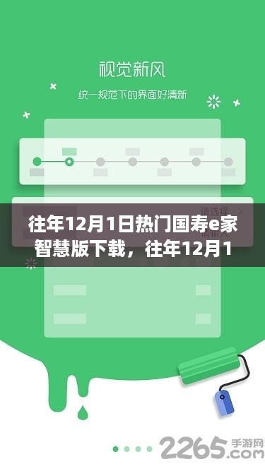 国寿E家智慧版下载解析，利弊分析与个人立场观点分享