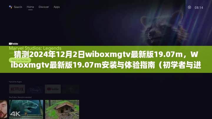 Wiboxmgtv最新版19.07m安装与体验指南，适合初学者与进阶用户的全面教程（猜测适用于2024年12月2日）