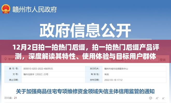 12月2日拍一拍热门后缀产品深度评测，特性、使用体验与目标用户群体全解析