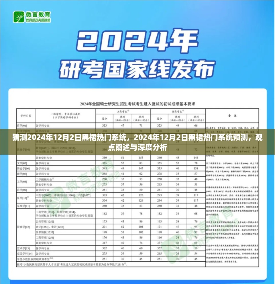 2024年12月2日黑裙热门系统预测，深度分析与观点阐述