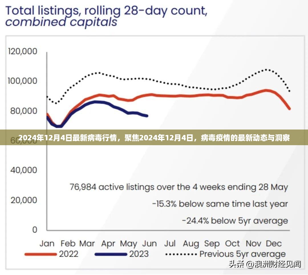 聚焦日期，2024年12月4日病毒疫情最新动态与洞察