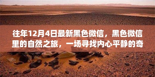 黑色微信里的心灵之旅，寻找内心平静的奇妙冒险