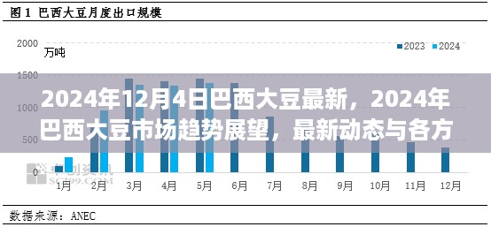 2024年巴西大豆市场趋势展望，最新动态与各方观点探析