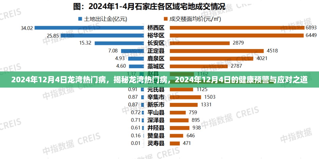 揭秘龙湾热门病，健康预警与应对之道（2024年12月4日）