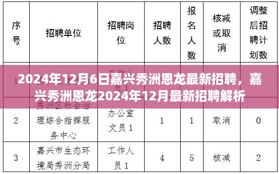 嘉兴秀洲恩龙最新招聘解析（2024年12月）