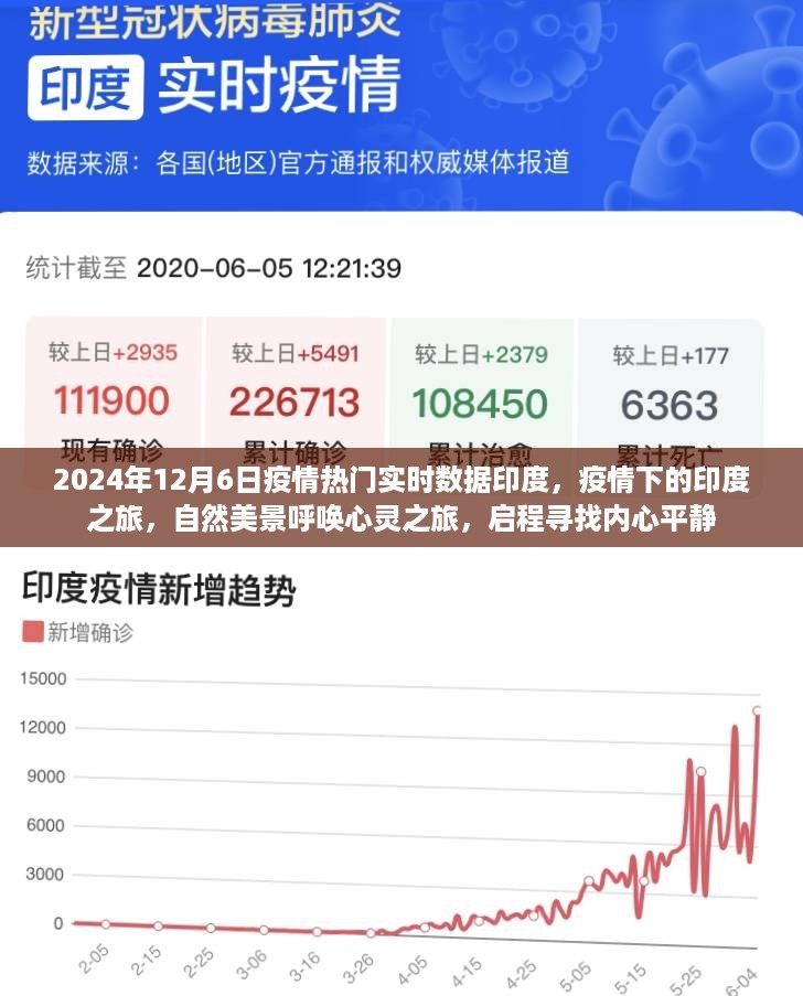 印度疫情下的心灵之旅，自然美景与心灵平静的追求（实时数据更新）