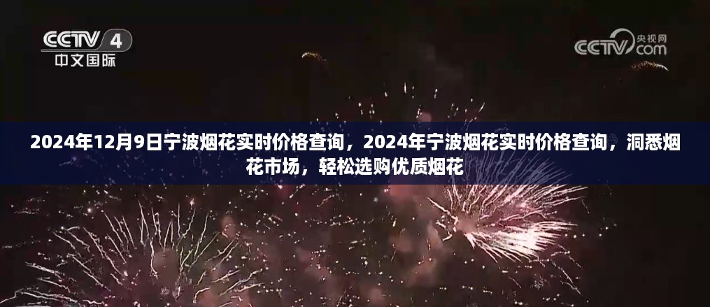 2024宁波烟花实时价格查询指南，洞悉市场，轻松选购优质烟花