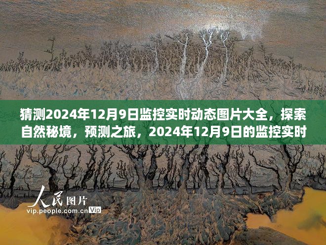 启程探索自然秘境，预测之旅——2024年12月9日监控实时动态图片大全