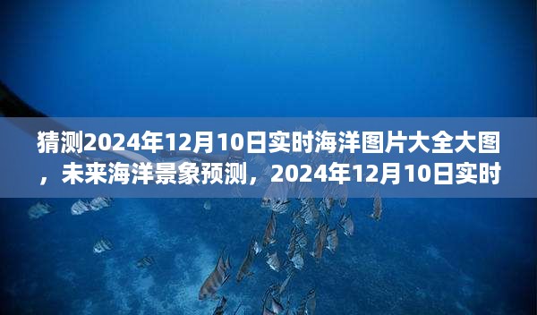 2024年12月10日实时海洋图片展望，未来海洋景象预测及其影响分析