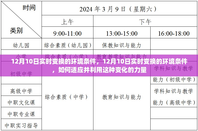 建议，12月10日实时变换的环境条件，如何适应并利用变化力量