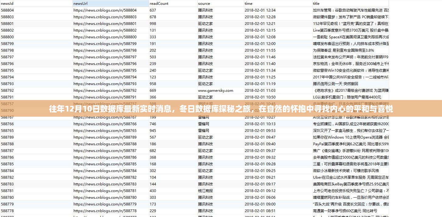 冬日数据库探秘之旅，实时消息与内心平和的追寻